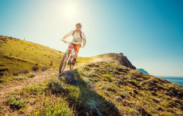 Sport, Glasses, Trail, Bike, Male, Herbs
