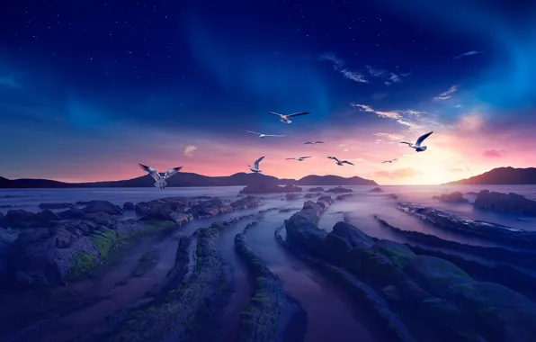 Sea, the sky, the sun, stars, clouds, light, flight, landscape