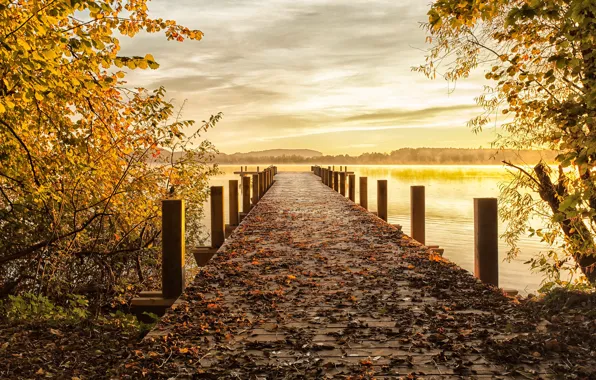 Picture autumn, bridge, nature, lake