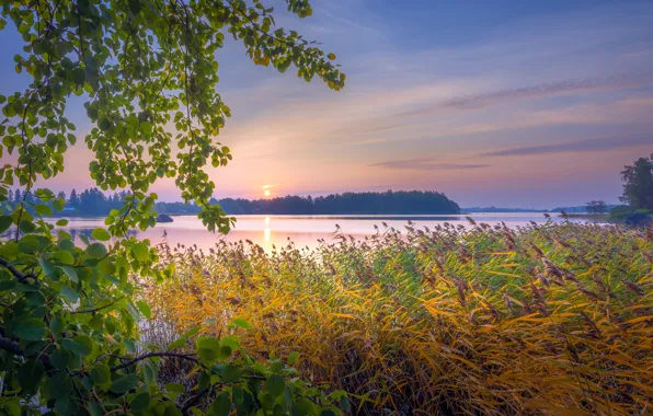 Autumn, nature, lake