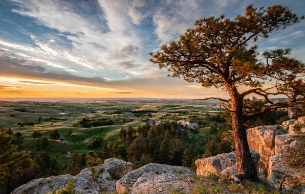 Clouds, light, landscape, branches, nature, stones, tree, rocks