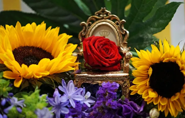 Picture sunflowers, rose, Bud, the throne, the Queen of flowers