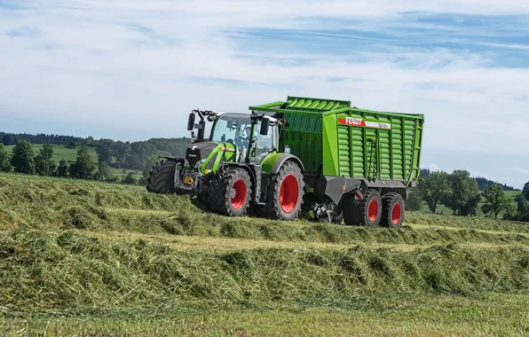 Hay, tractor, cart