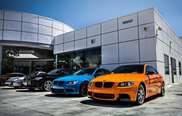 BMW, Porsche, BMW, bright, Orange and Blue