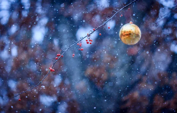 Snow, berries, toy, ball, branch, Christmas