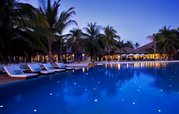 Picture trees, palm trees, the evening, pool, The Maldives, the hotel, sun loungers, Maldives