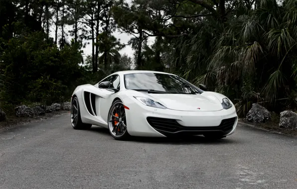Picture road, white, the sky, trees, McLaren, white, MP4-12C, the front