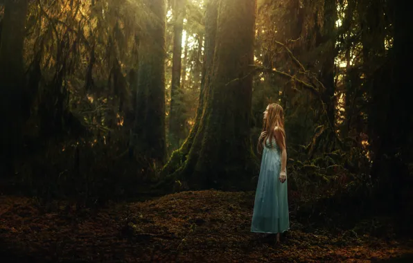 Picture forest, girl, TJ Drysdale, Quiet Wander