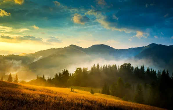 Picture the sky, clouds, mountains, fog, field, Ukraine, forest, Carpathians