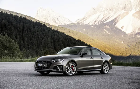 Picture forest, mountains, Audi, slope, sedan, Audi A4, 2019