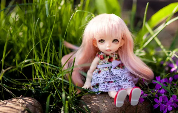 Grass, nature, stone, toy, doll, sitting, pink hair