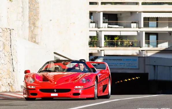 Ferrari, V12, 1995, F50