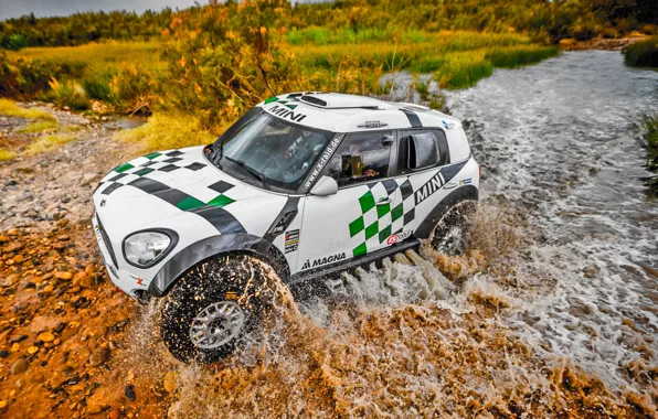 Water, Mini, Grass, Sport, Speed, Race, Rally, Rally