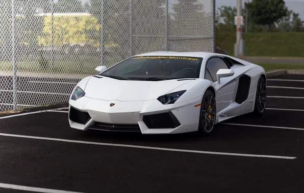 Picture aventador, lamborghini, parking, white