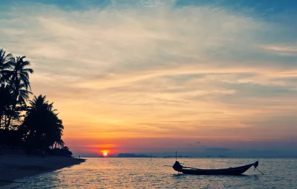 Sea, beach, the sky, the sun, sunset, tropics, palm trees, shore