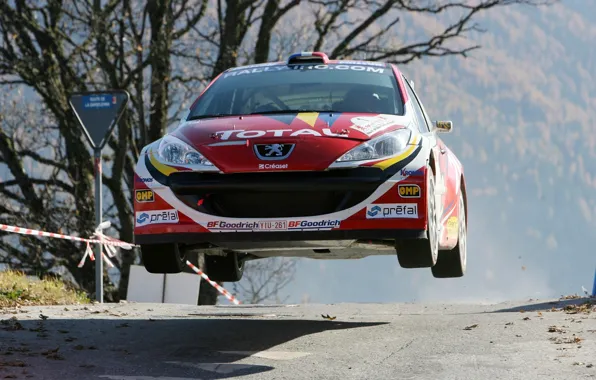 Peugeot, Peugeot, rally, Rally, IRC, 207, TOTAL, Peugeot