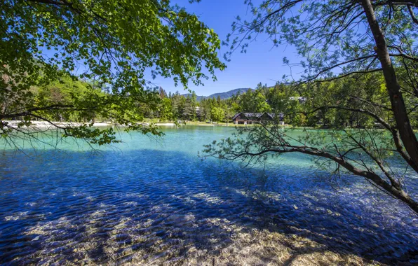 Forest, trees, mountains, branches, lake, house, Slovenia, Lake Jasna