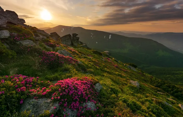 Picture landscape, sunset, mountains, nature, stones, hills, vegetation, the slopes