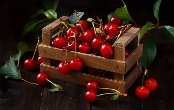 Leaves, drops, light, cherry, berries, the dark background, Board, harvest