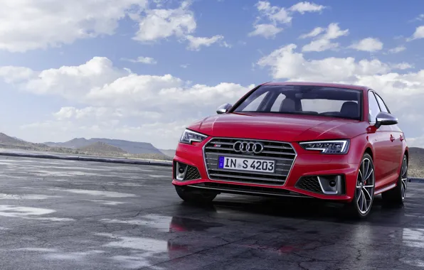 Audi, TDI, sedan, Sedan, Audi S4, 2019