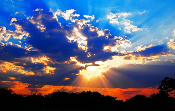 The sky, clouds, rays, trees, sunset, clouds, horizon