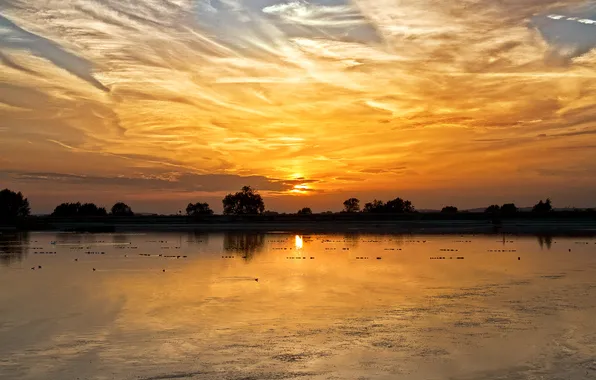 Picture the sun, sunset, birds, lake, the evening