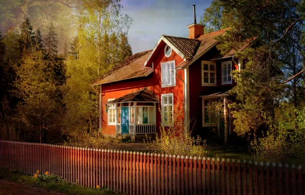 Forest, light, trees, branches, house, Park, the fence, view