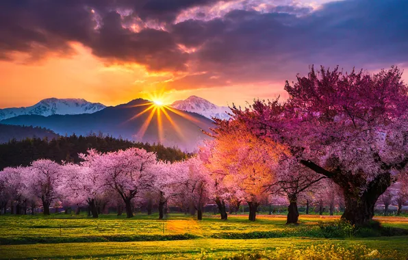 Mountains, spring, Sakura, flowering, AI art, neural network