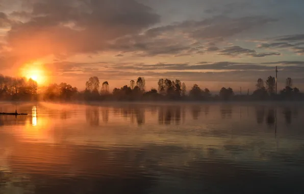 The sun, trees, lake, the evening