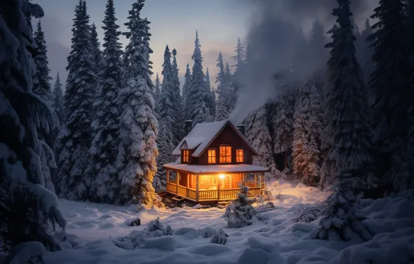Winter, forest, snow, night, frost, house, house, hut