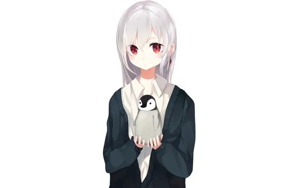 Picture girl, white background, penguin
