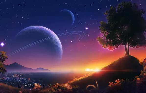 Picture trees, sunset, the city, planet