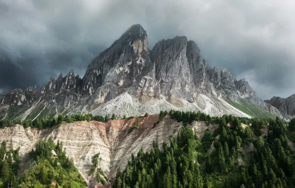 Wallpaper forest, mountains, fog, mountain for mobile and desktop ...