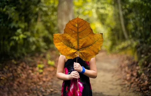 Forest, leaves, girl