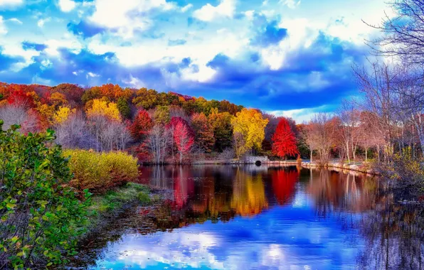 Reflection, river, the bridge, autumn trees