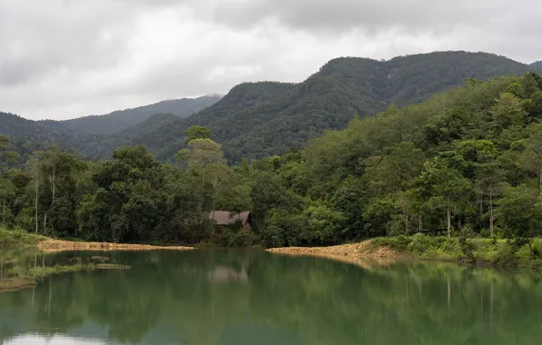 Summer, mountains, lake, jungle, Thailand