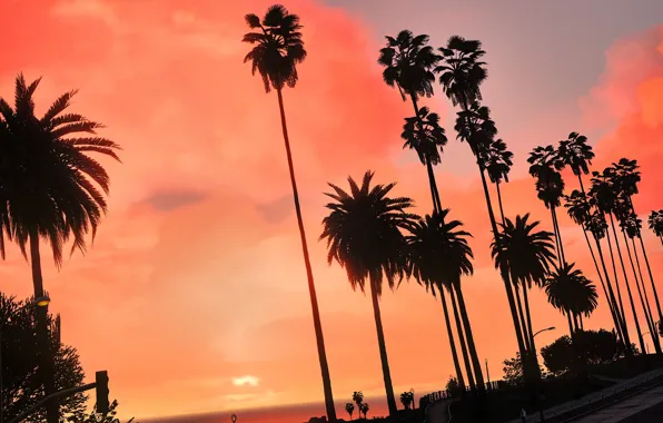 Picture summer, the city, tropics, palm trees, dawn