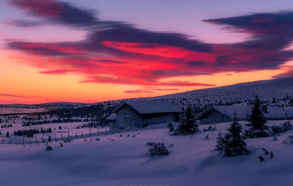 Winter, the sky, snow, sunset, home, North