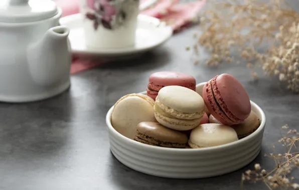 Flowers, cookies, macaron, almond, macaroons, Karina Klachuk