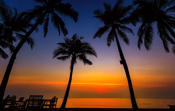 Sand, sea, wave, beach, summer, sunset, palm trees, shore