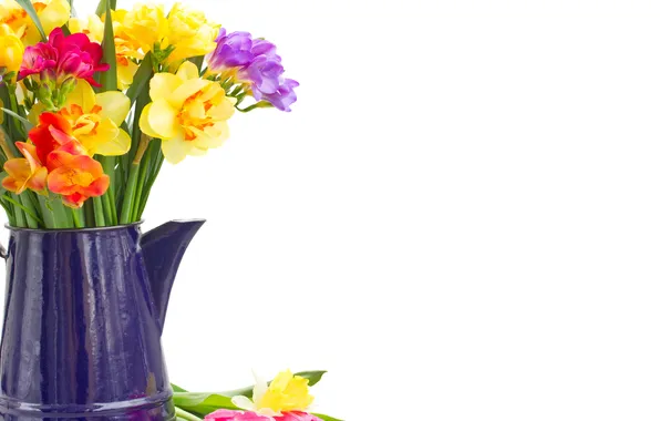 Picture colorful, flowers, daffodils, spring, bouquet