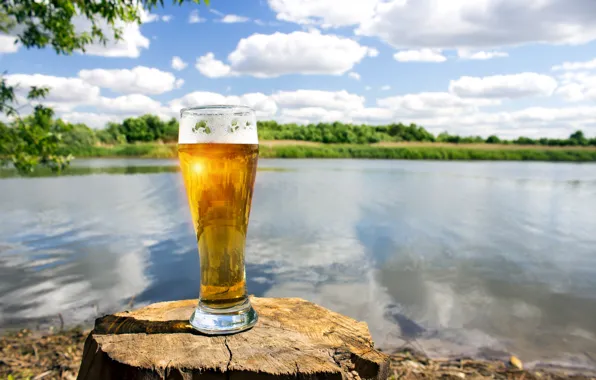 Greens, summer, the sky, the sun, clouds, landscape, glass, river