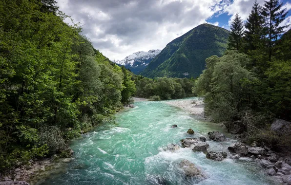 Forest, mountains, river, Slovenia, Triglav National Park