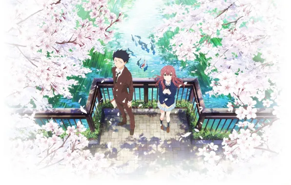 Pond, romance, spring, Sakura, railings, flowering, students, koi