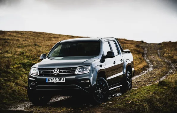 Picture Volkswagen, pickup, Amarok, Black Edition, 2019, double cab