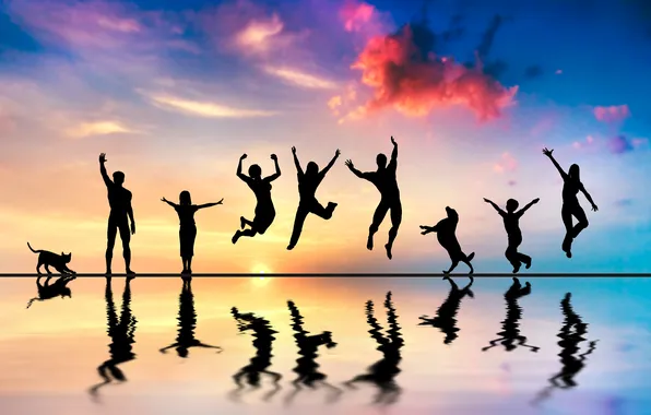 Picture cat, water, reflection, mood, animal, people, dog, silhouette