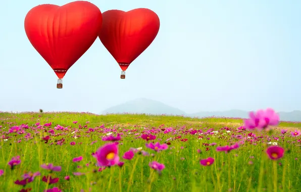 Flowers, balloons, Heart shaped
