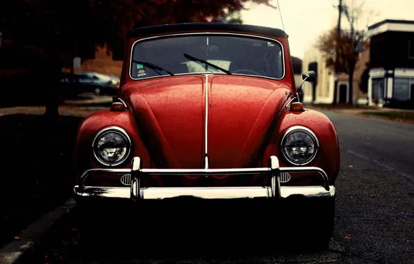 Picture beetle, Volkswagen, beetle, old