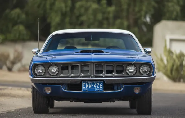 Picture 1971, Plymouth, Hemi, 'Cuda