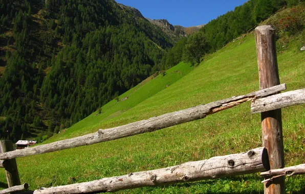 Picture trees, mountains, hills, the fence, Italy